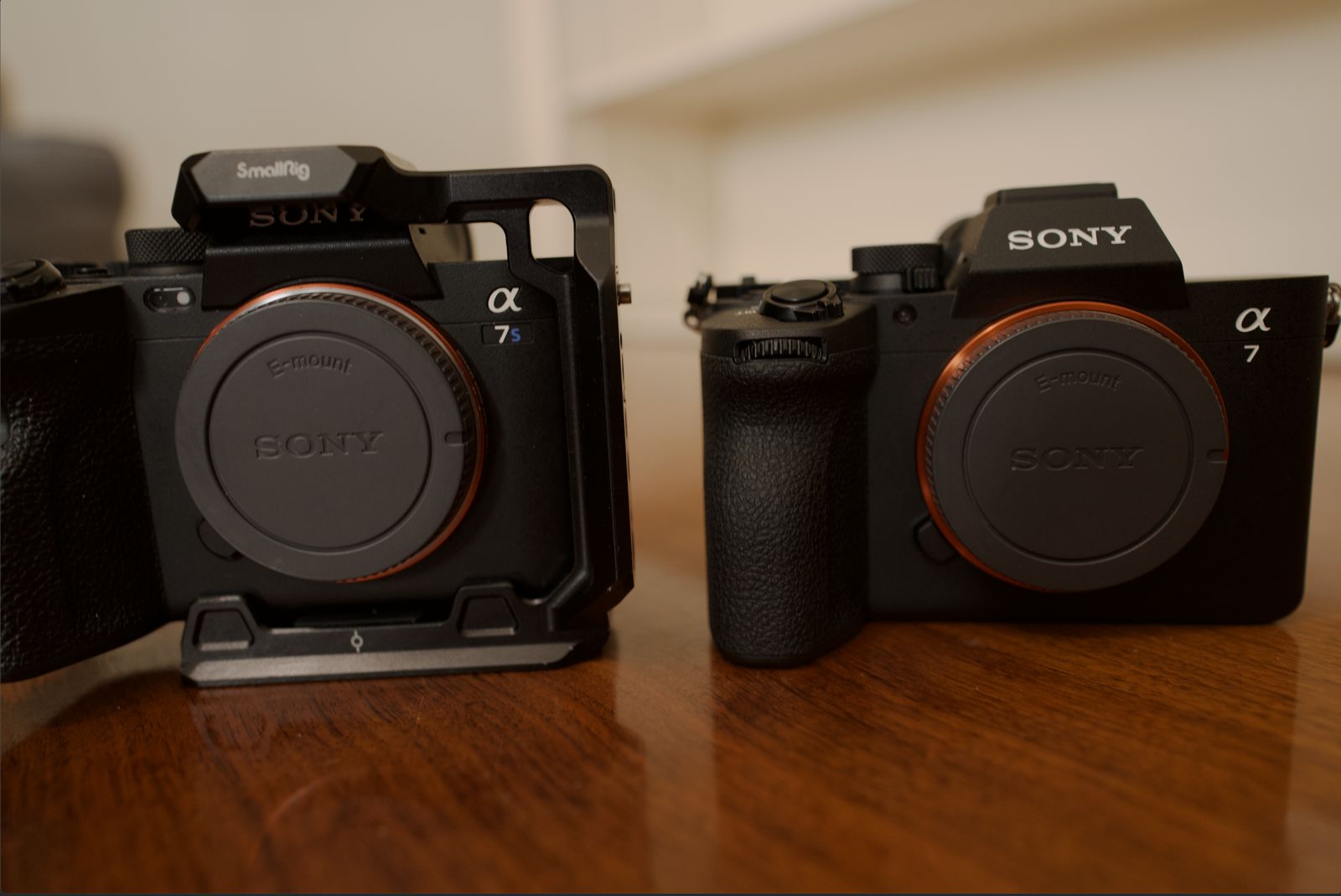 Sony A7SIII and A7V camera bodies
